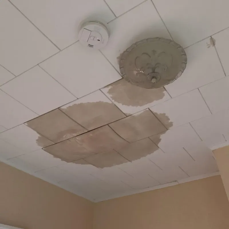 Ceiling Water Damage Repair in Union, OH