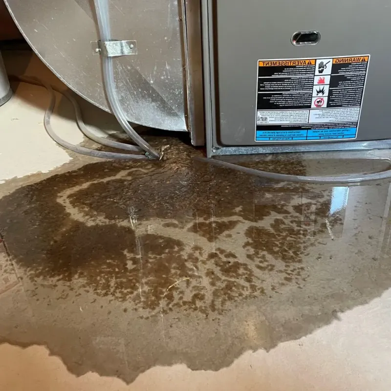 Pipe Burst and Leak Restoration in Union, OH